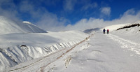 Winter Wander